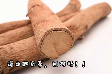 诺西欧东革是壮阳药吗
