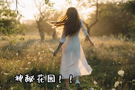 如何欺负女生的小花园和大白兔